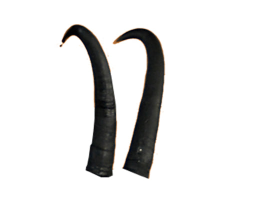 Eleven Gämse - Hörner