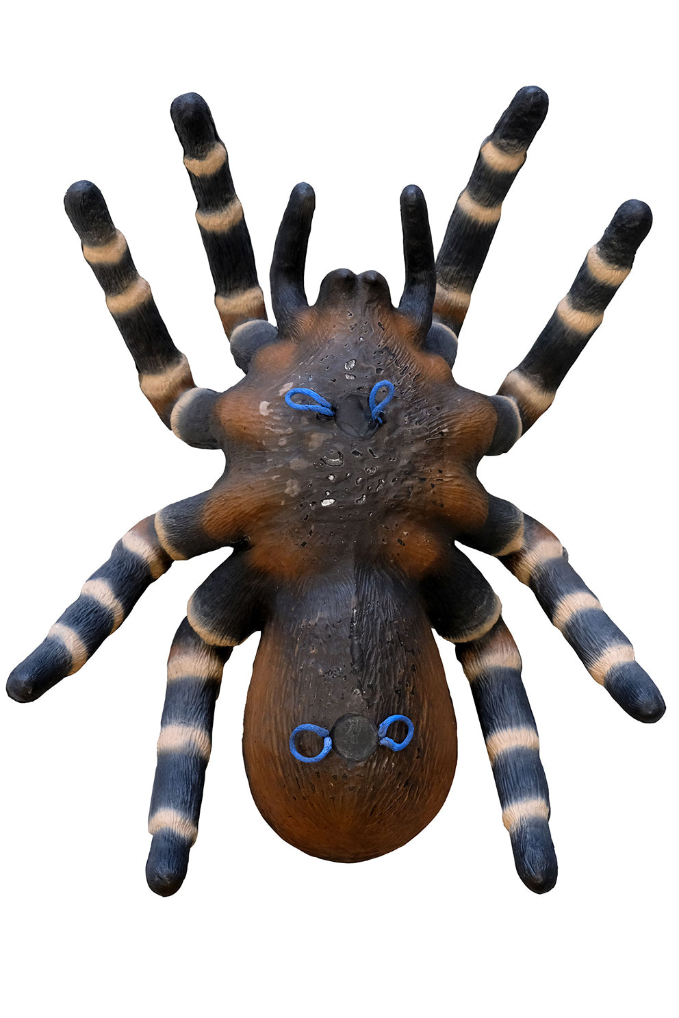 Leitold, Vogelspinne