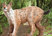 Scheibenauflage Leitold, 2D-Luchs laufend