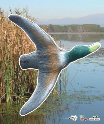 Scheibenauflage Leitold, 2D-Ente streichend