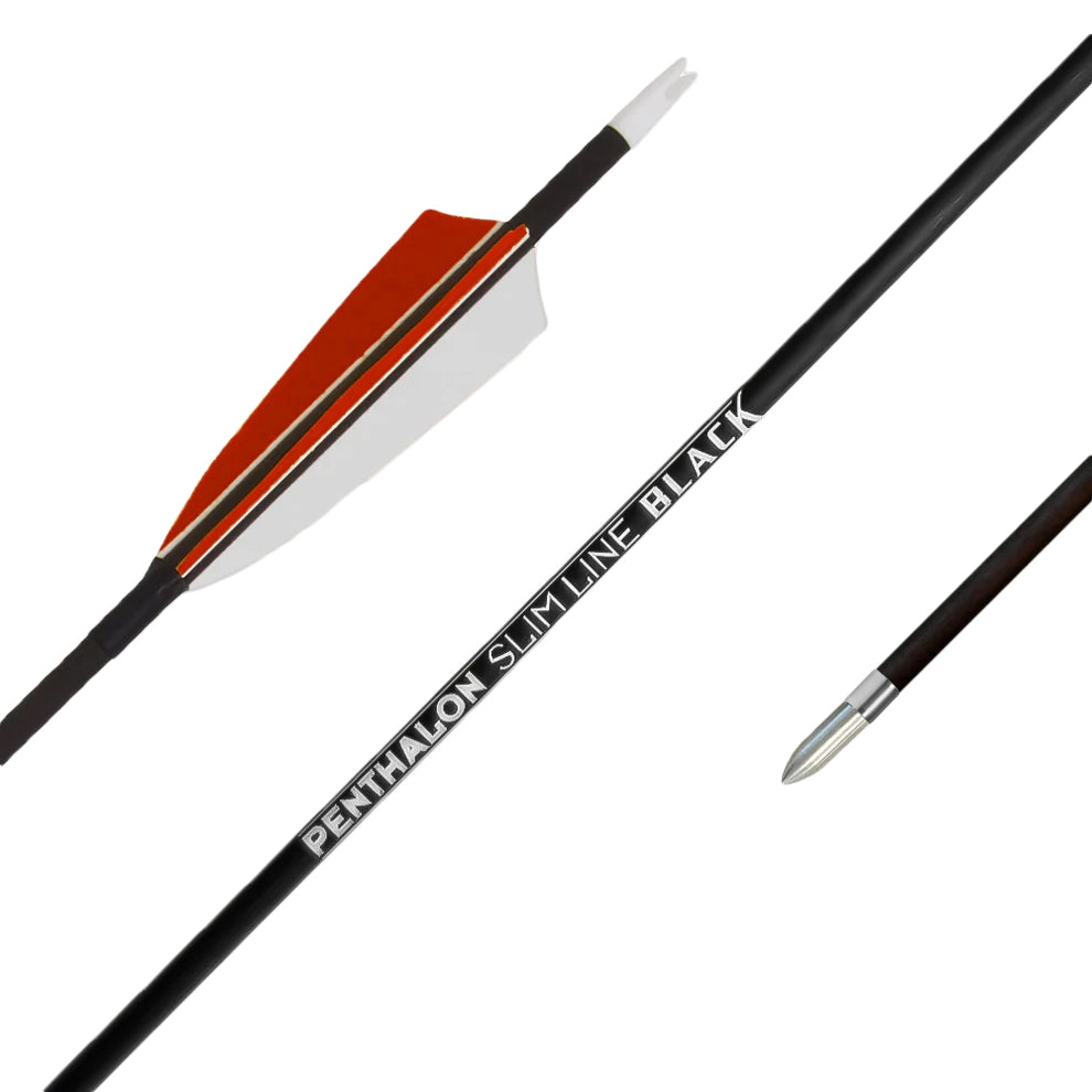 Fertigpfeil Penthalon SL Black Federn