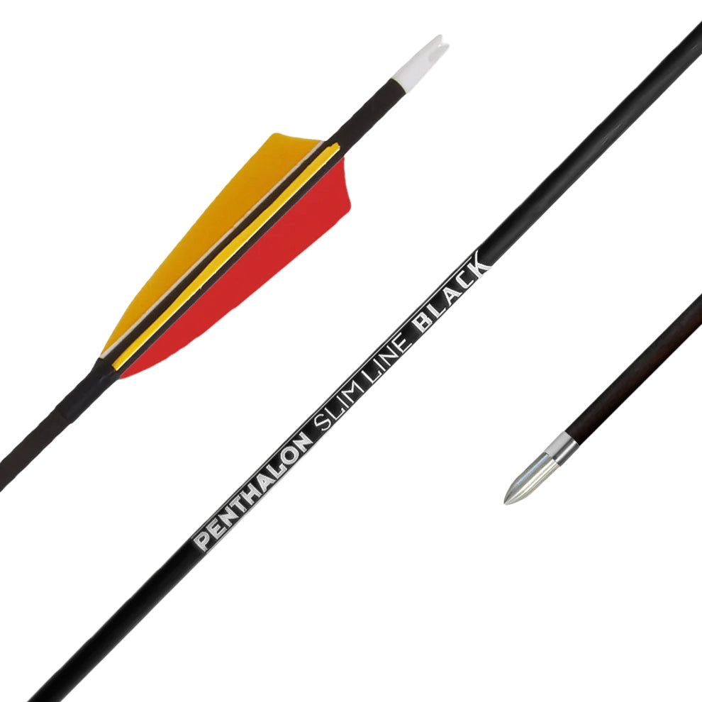 Fertigpfeil Penthalon SL Black Federn