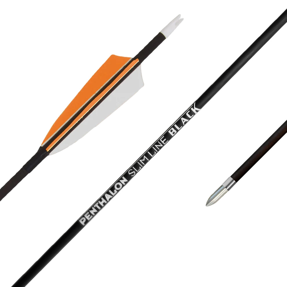 Fertigpfeil Penthalon SL Black Federn
