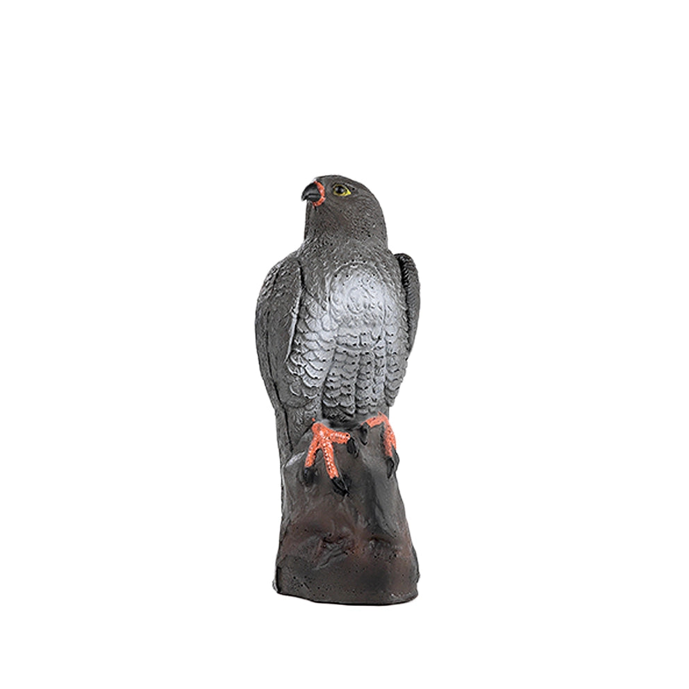 Franzbogen Falke