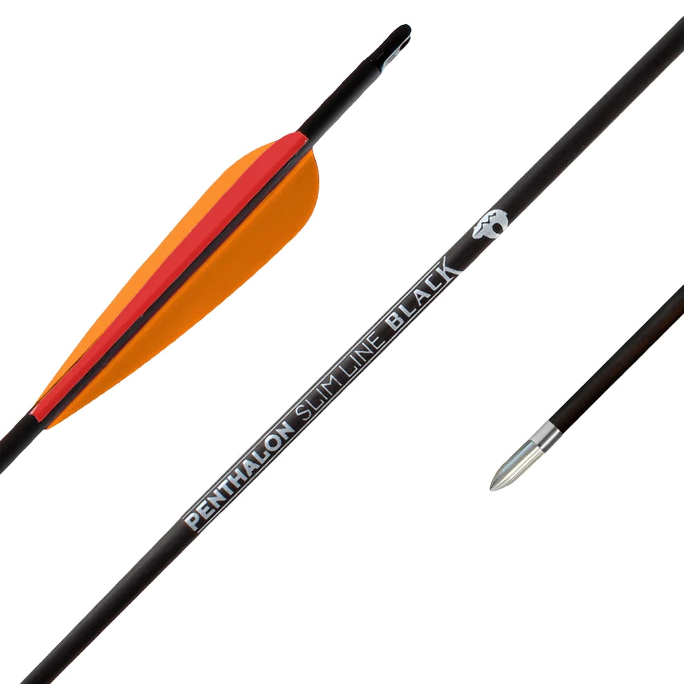 Fertigpfeil Penthalon SL Black Fletches