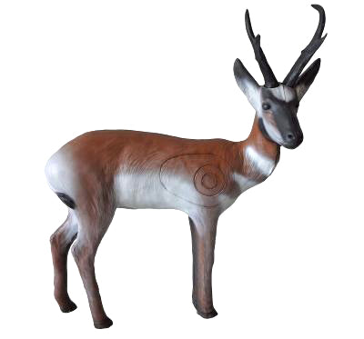 Leitold, Pronghorn