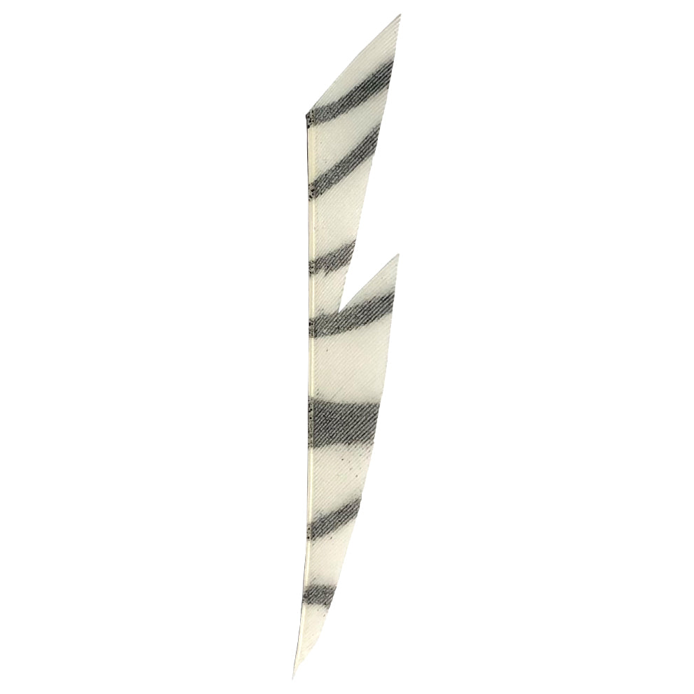 2,6" Rapidflight Zebra