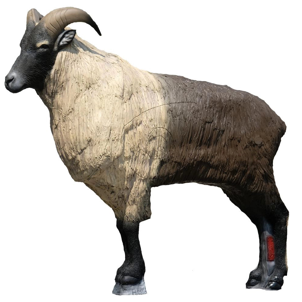 SRT Himalaya Tahr stehend