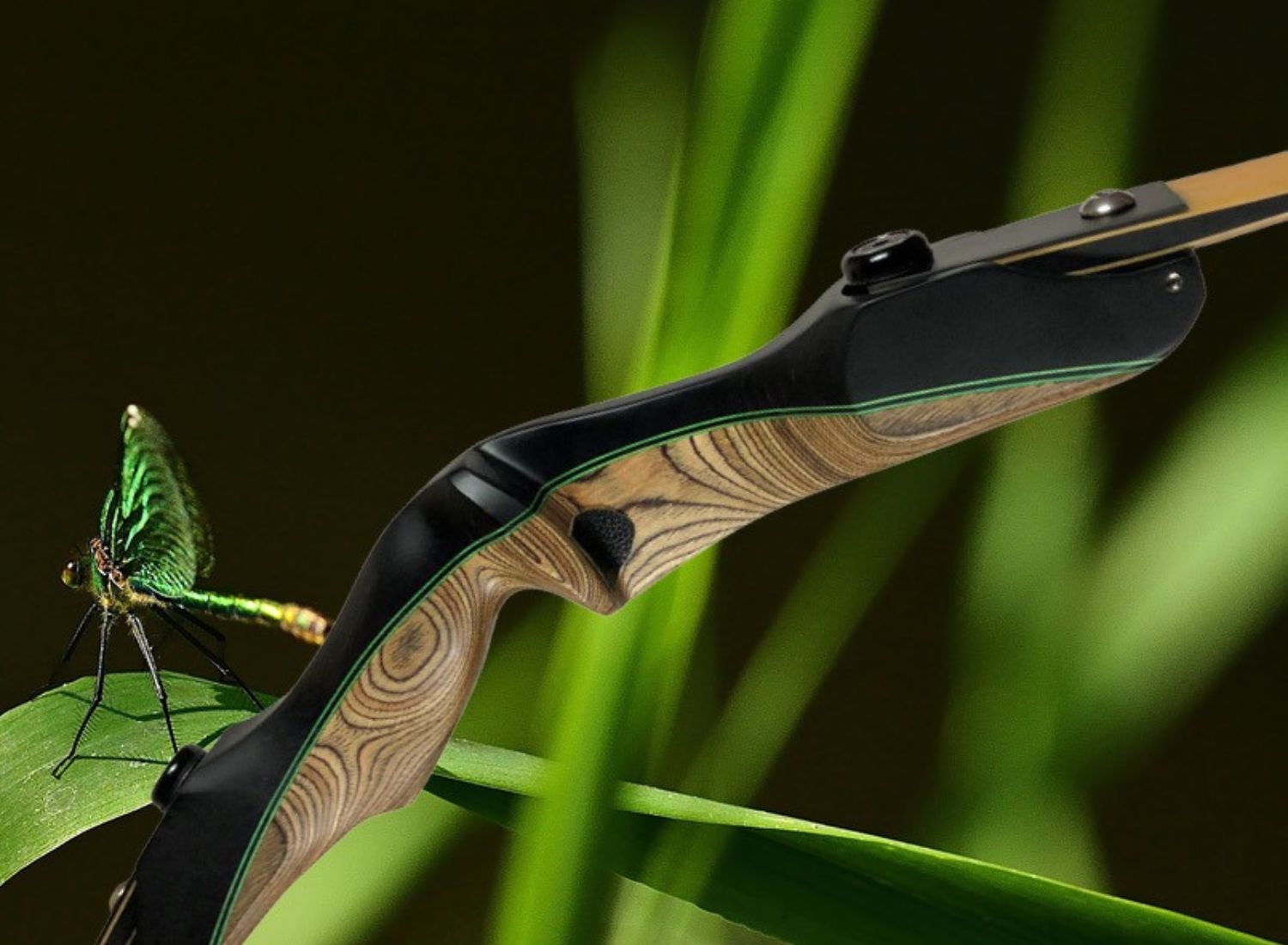 Sommer, Sonne, neue Bögen