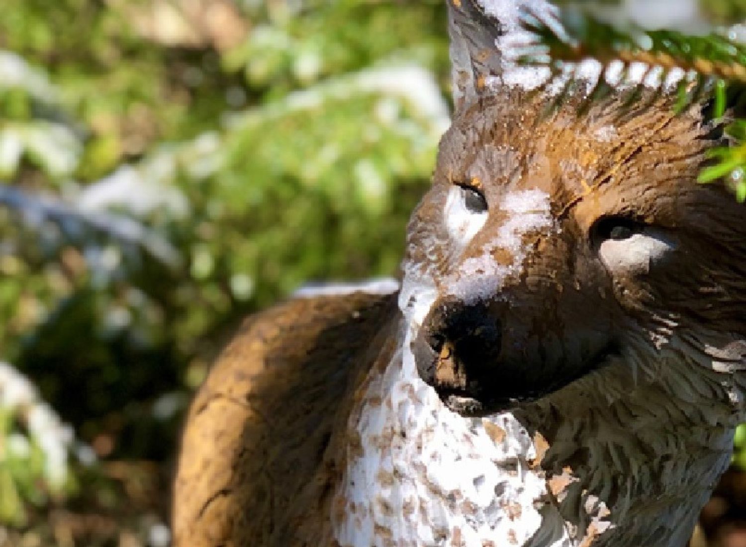 Unser neuer Newsletter ist online