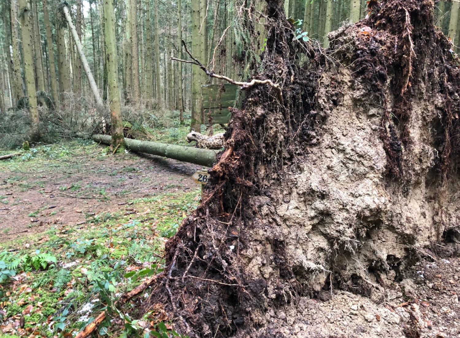 Parcourssperrung heute, 12.02.20