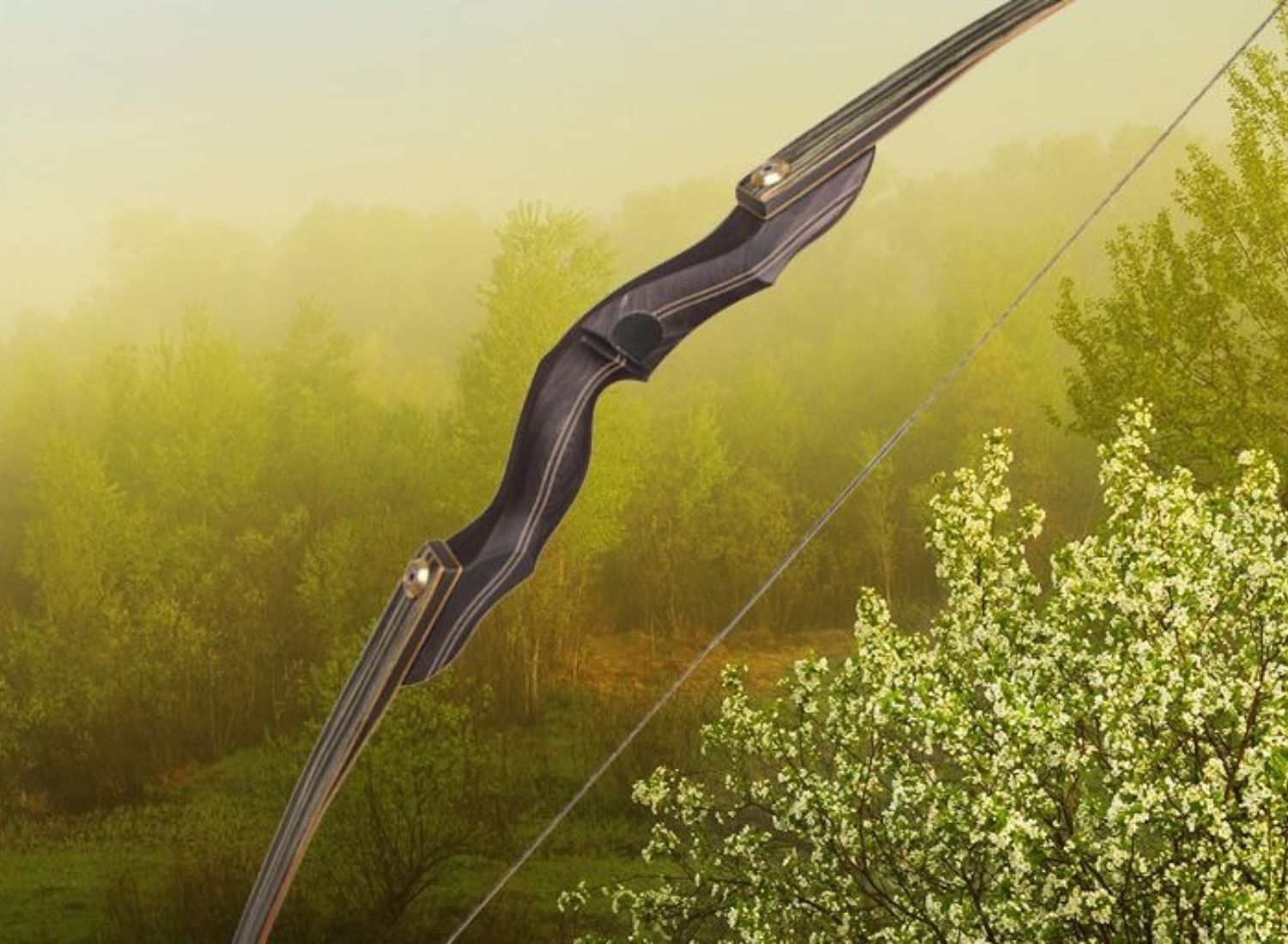 Ein ganz besonderes Angebot