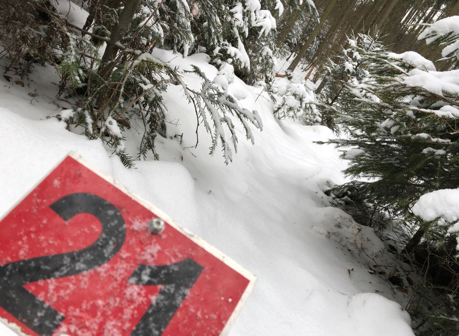 Vielschießerrunde 2019