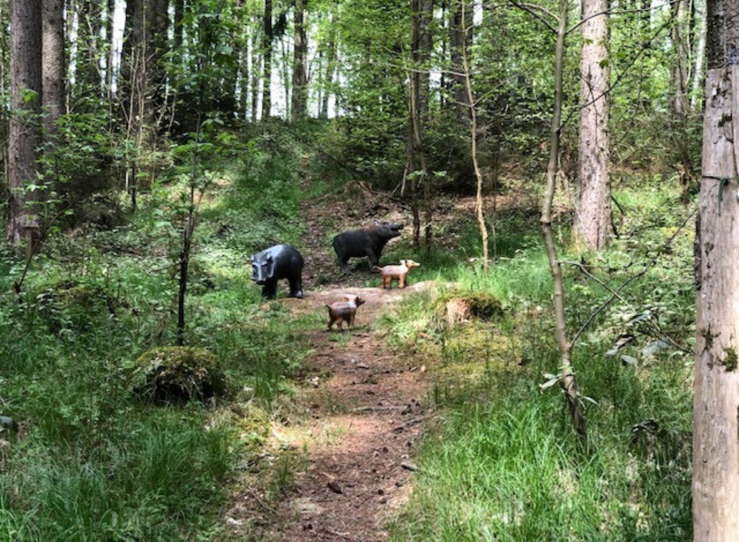 Auschreibung für unser Turnier am 03. Oktober 2025