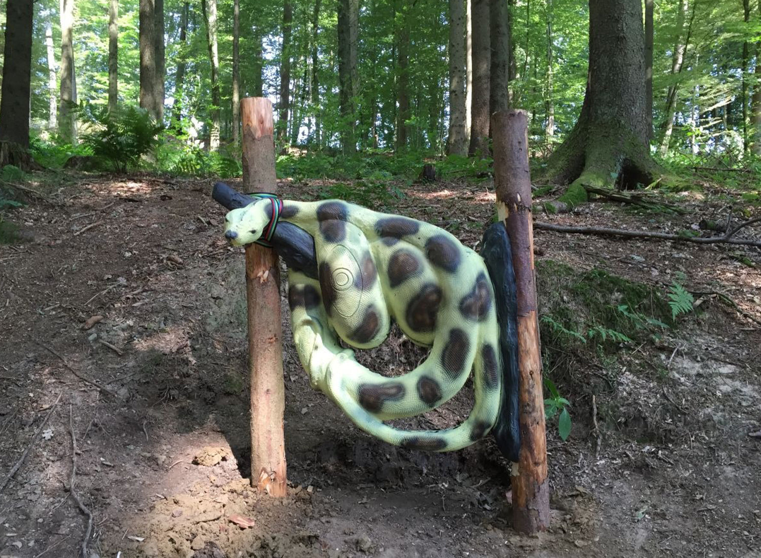 Schlangen auf unserem 3D Parcours