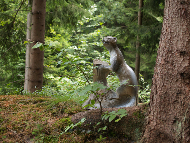 Longlife Steinmarder