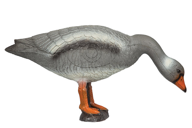 Franzbogen Graugans fressend