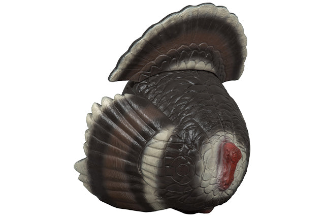 Franzbogen Balzender Truthahn