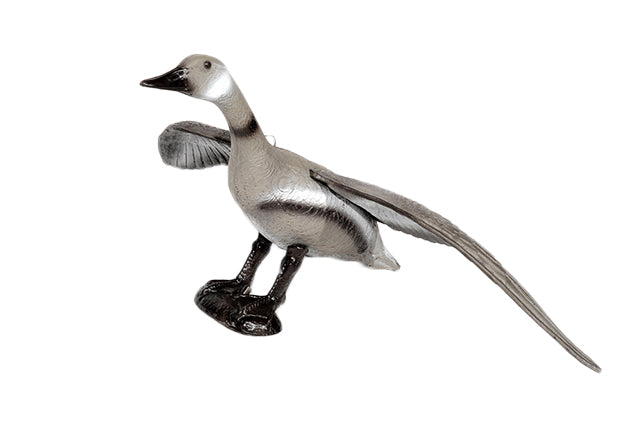 Franzbogen Fliegende Graugans