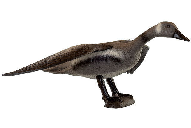 Franzbogen Fliegende Graugans