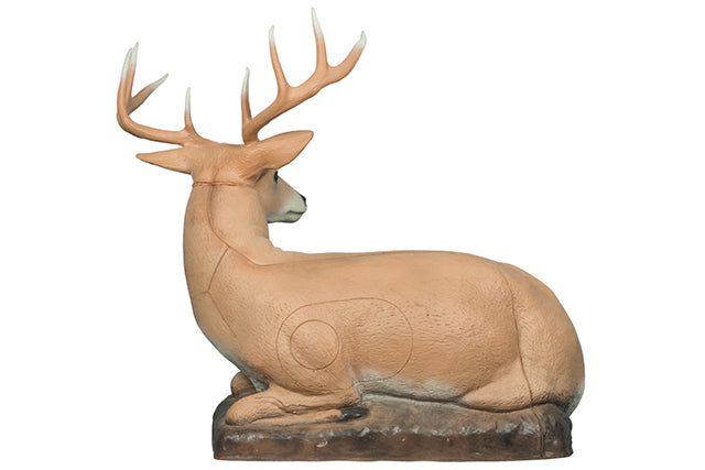 Franzbogen Hirsch liegend