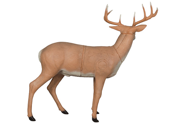 Franzbogen Hirsch stehend