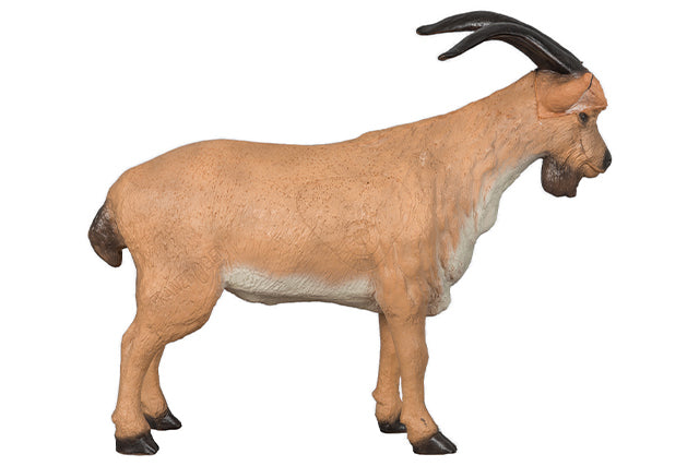 Franzbogen Bergziegenbock