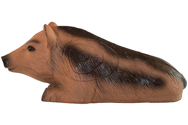 Franzbogen Liegender Frischling