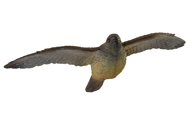 Franzbogen Fliegender Falke