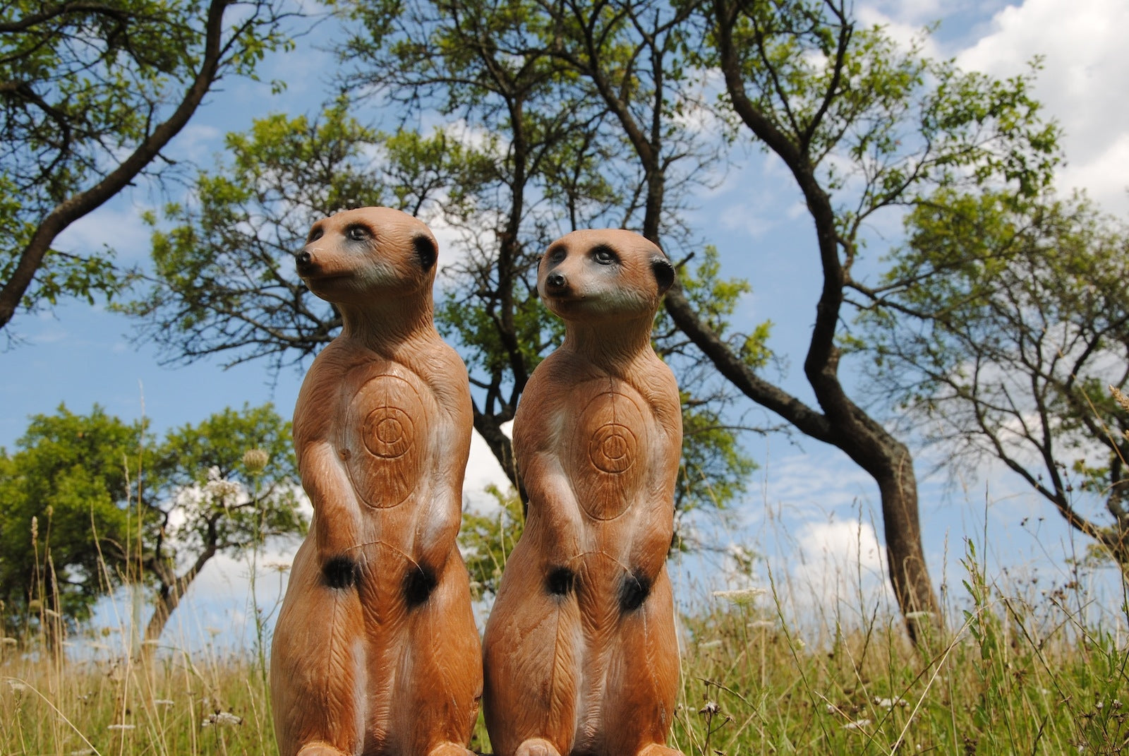 Longlife Erdmännchen, stehend