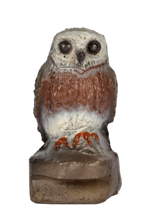 Franzbogen Steinkauz