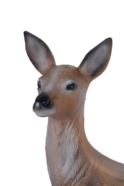 Longlife Reh liegend