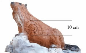 Leitold, Murmeltier laufend