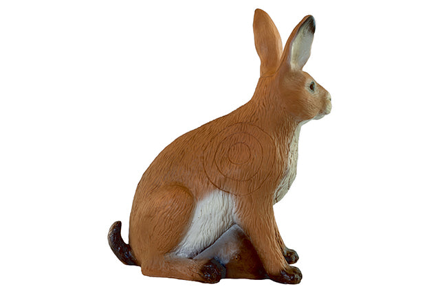 Franzbogen Großer Feldhase