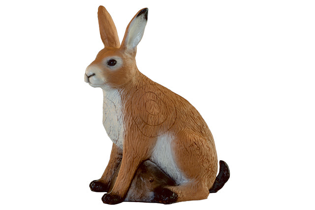 Franzbogen Großer Feldhase