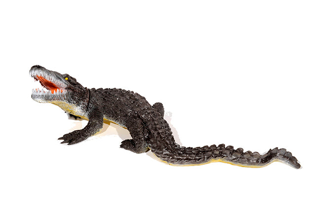 Franzbogen Alligator, groß