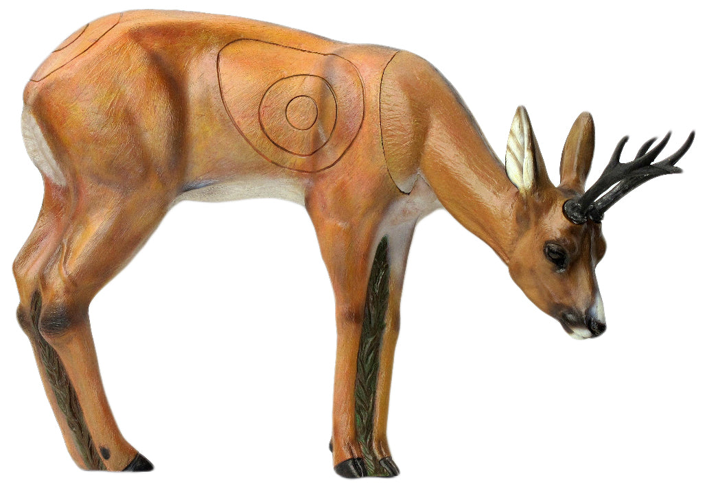 SRT Rehbock VSE äsend