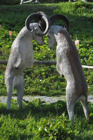 Leitold, Marco Polo aufrecht stehend