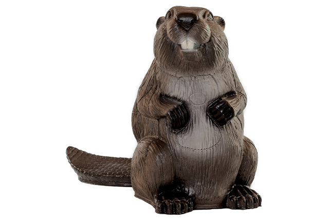 Franzbogen Großer Biber