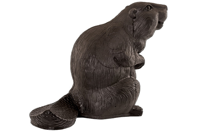 Franzbogen Großer Biber