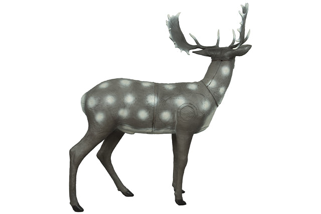 Franzbogen Damhirsch stehend