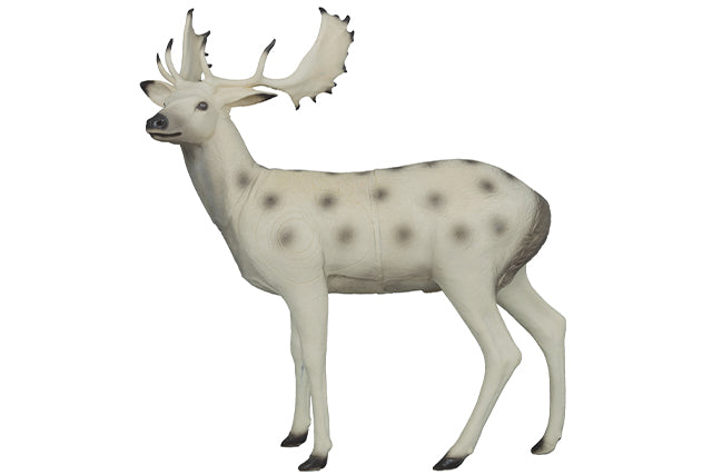 Franzbogen Damhirsch stehend