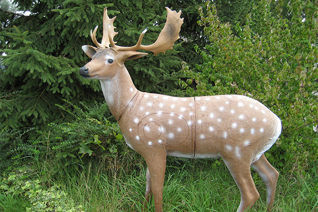 Franzbogen Damhirsch stehend