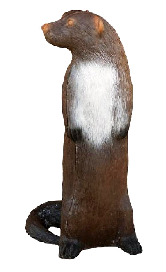 Leitold, Fischotter stehend