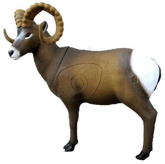 SRT Rocky Mountain Schaf