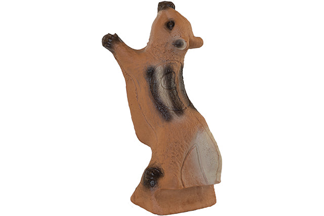 Franzbogen Streifenhörnchen