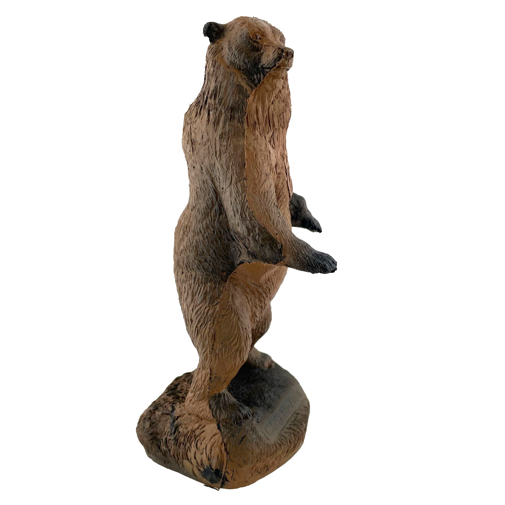 CSS, Mini-Target Grizzly