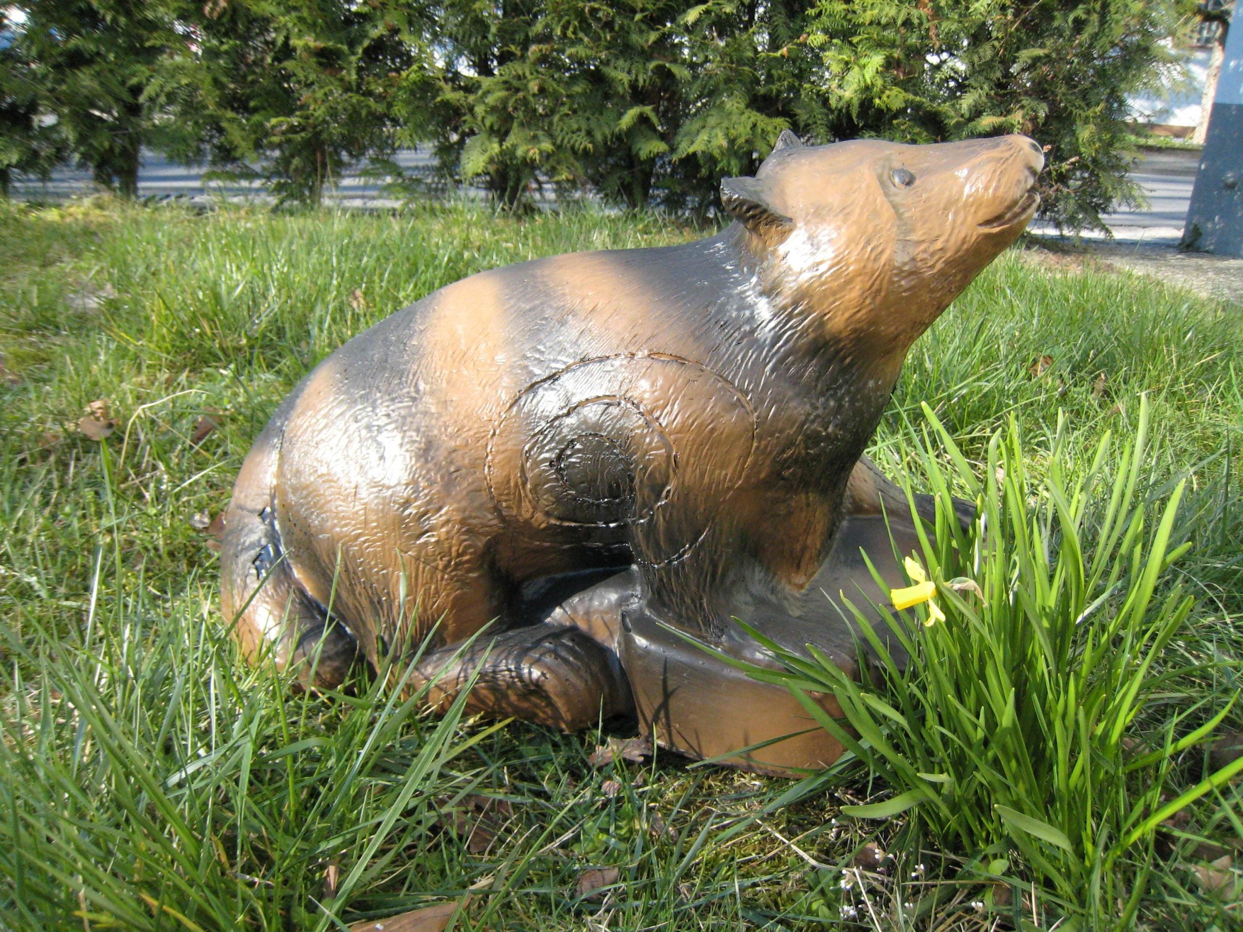 CSS, Waschbär Ernie