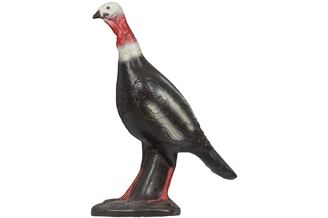 Franzbogen Truthenne stehend