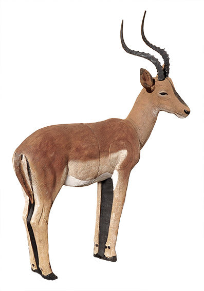 Wildcrete Impala männlich